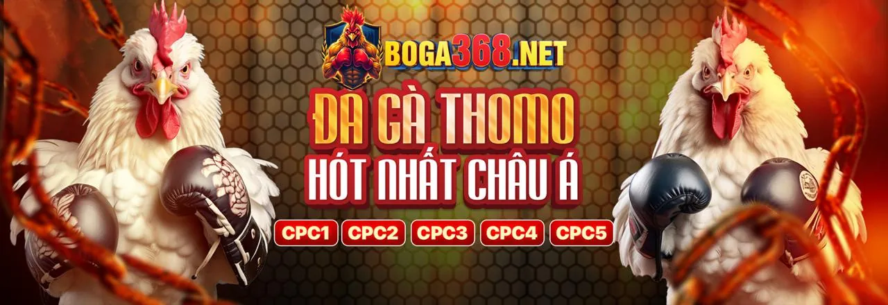 Bảo vệ dữ liệu và Tuân thủ GDPR tại ev88 casino